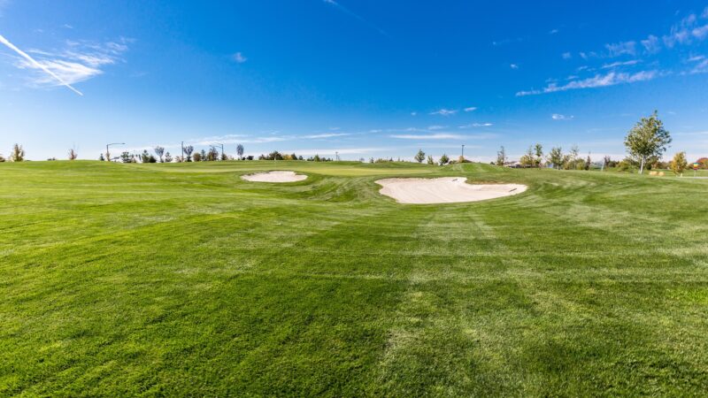 Mastering the Art of Golf Course Management: Top Companies to Consider