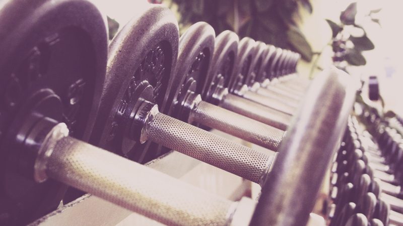 Inside the Fitness Engine: Exploring the Gym’s Mechanisms